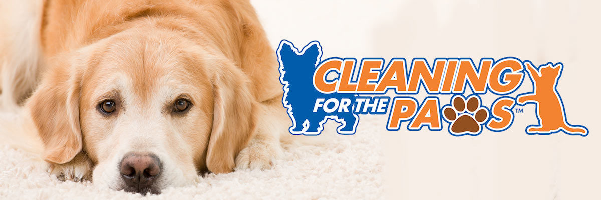 Pet Urine Removal by Fresh Clean Chem-Dry in Leduc, AB