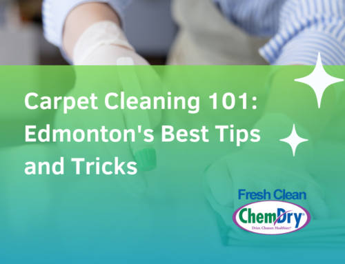 Carpet Cleaning 101: Edmonton’s Best Tips and Tricks