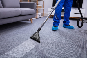 The Necessity of Professional Carpet Cleaning in Edmonton