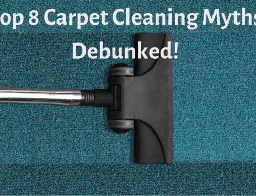 Top 8 Carpet Cleaning Myths Debunked